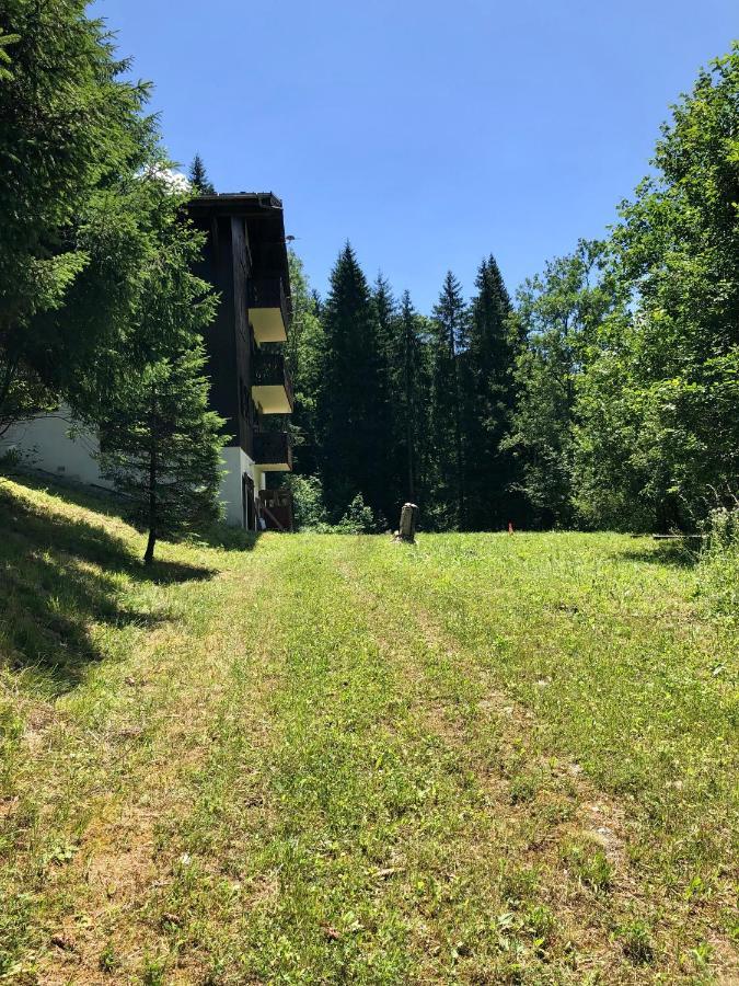 Chalet Riviere Du Bon Nant Location De 6 A 14 Personnes En Haute Savoie Saint-Gervais-les-Bains Exteriér fotografie