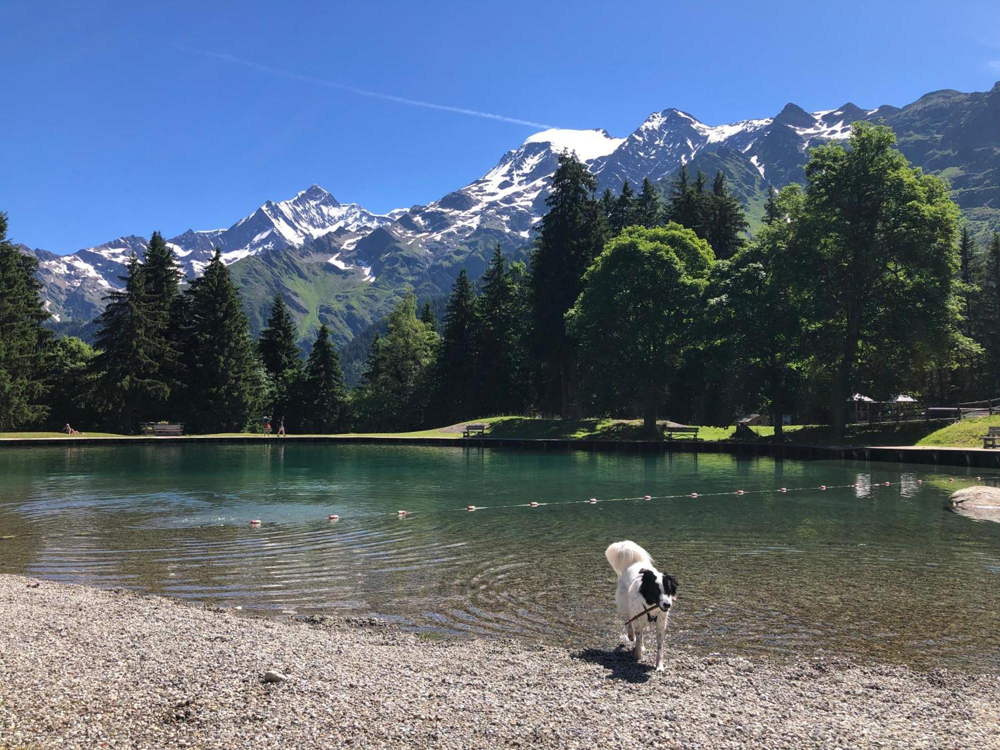 Chalet Riviere Du Bon Nant Location De 6 A 14 Personnes En Haute Savoie Saint-Gervais-les-Bains Exteriér fotografie