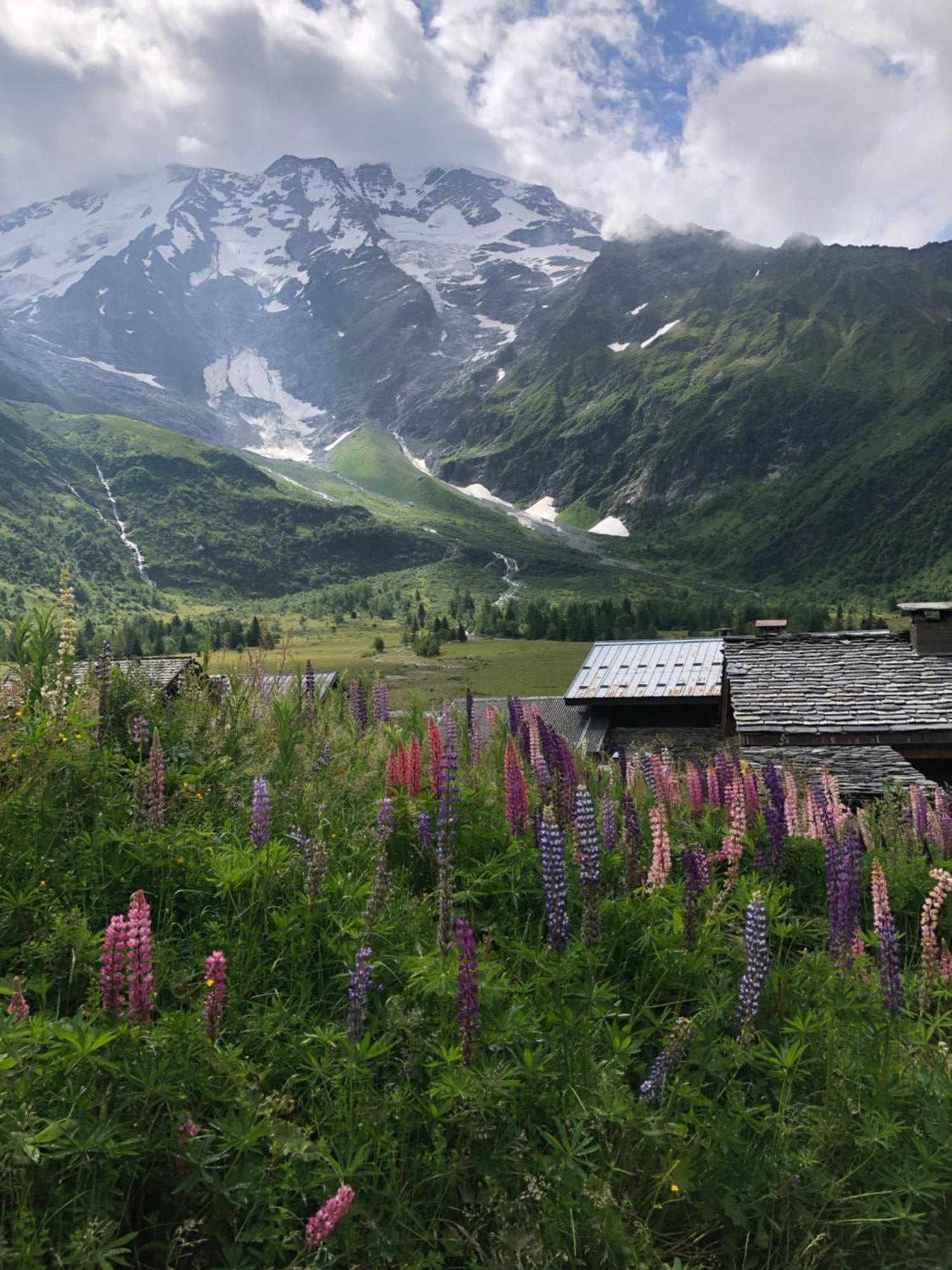 Chalet Riviere Du Bon Nant Location De 6 A 14 Personnes En Haute Savoie Saint-Gervais-les-Bains Exteriér fotografie
