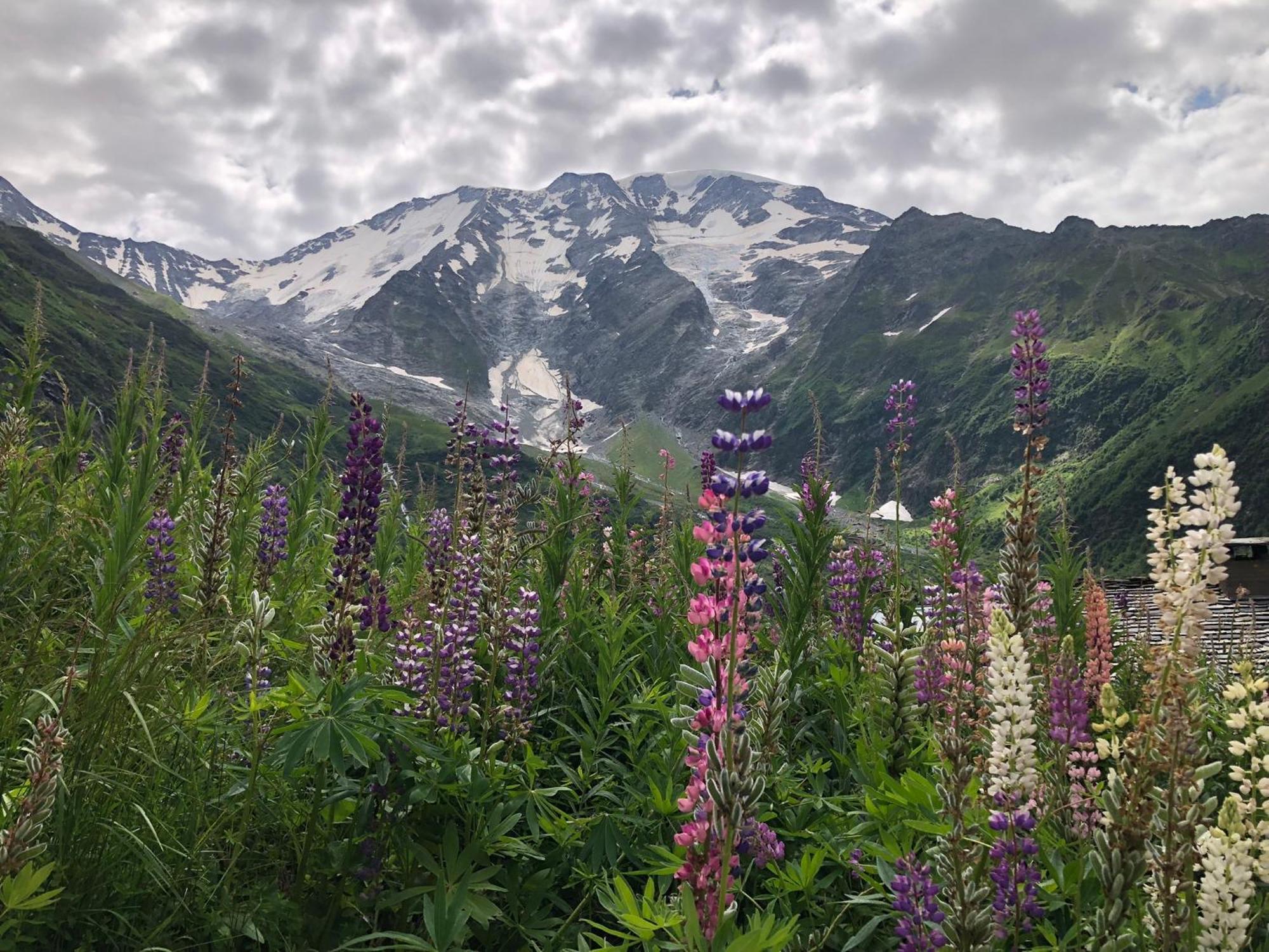 Chalet Riviere Du Bon Nant Location De 6 A 14 Personnes En Haute Savoie Saint-Gervais-les-Bains Exteriér fotografie